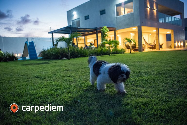 Casa Espetacular na Praia de Graçandu by Carpediem