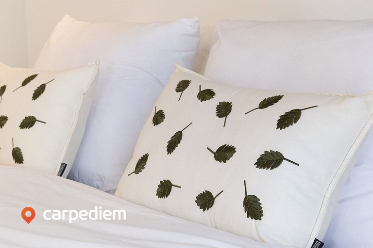 TOLIVE Riverside HOUSI Recife by Carpediem
