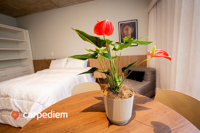 COP 30 - Piedade 45 Studio by Carpediem