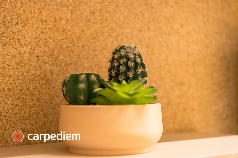 Breeze Residence #213 - Pé na Areia | By Carpediem