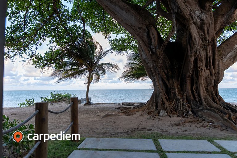 Get Sense #306 - Beira mar por Carpediem