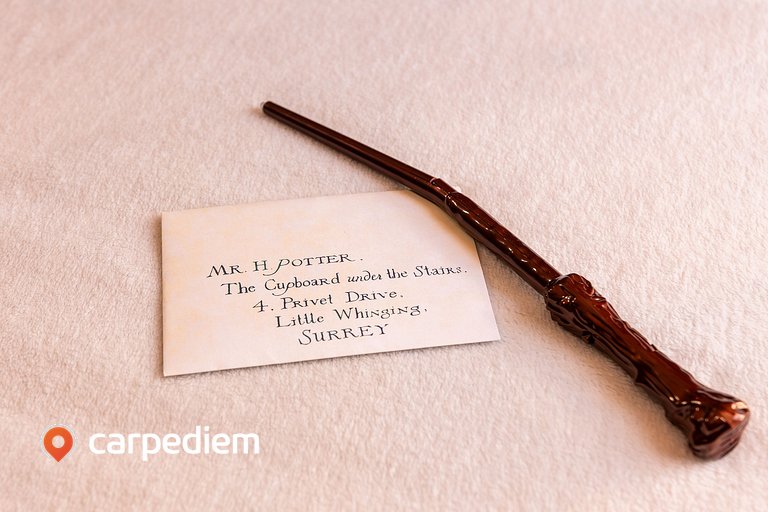 Alta Garden #405 - Studio temático by Carpediem