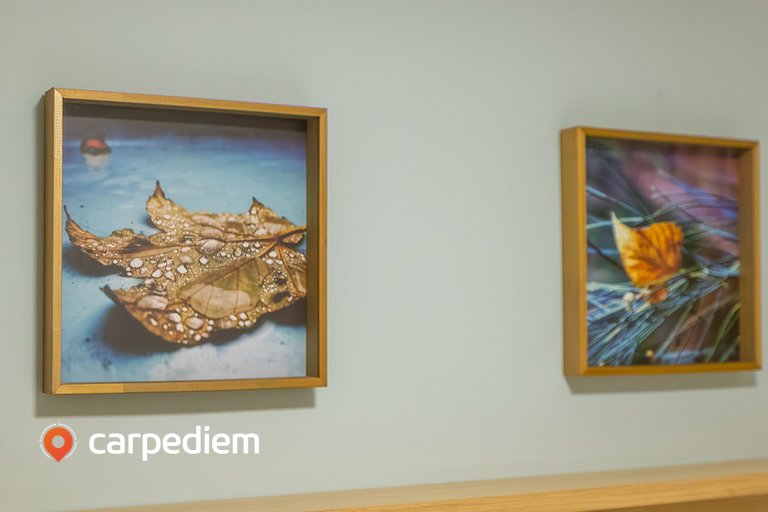 UniGreen - Perto da Praia e Shopping by Carpediem